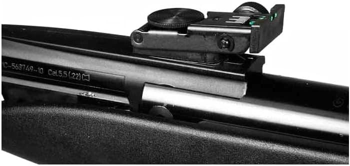 Gamo Silent Cat .177 Caliber Breakbarrel Pellet Air Rifle with 4x32 Scope
