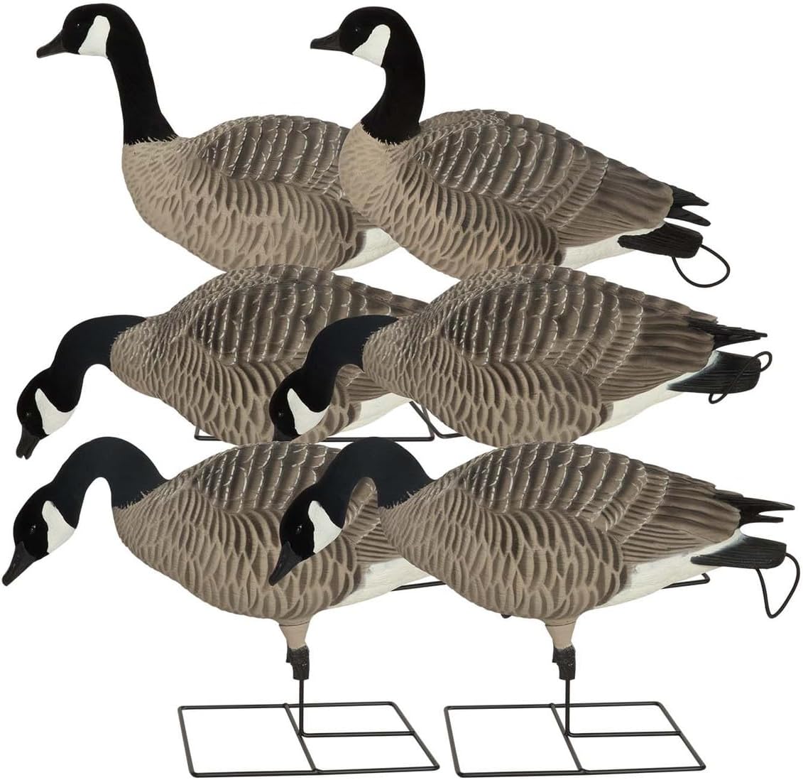 GHG Pro-Grade XD Series Full-Body Canada Goose Decoys, Harvester 6 Pack