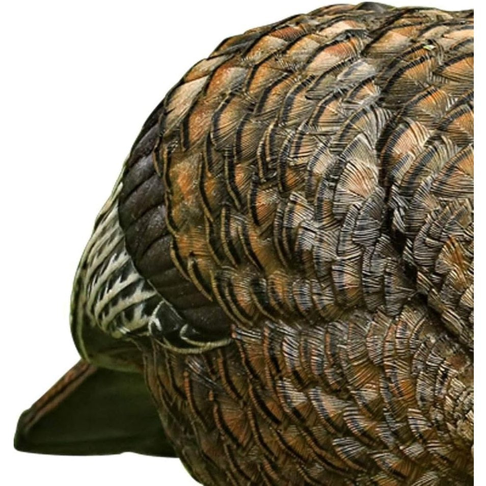 AVIAN-X LCD Feeder Hen Turkey Decoy | Durable Realistic Lifelike Collapsible Standing Hunting Decoy with Carry Bag & Stake, AVX8007