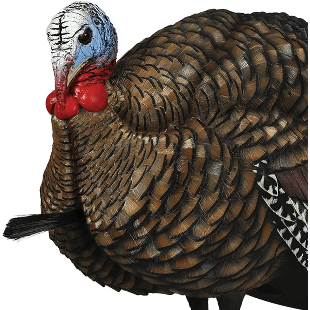 Avian X LCD 1/2 Strut Jake Turkey Decoy