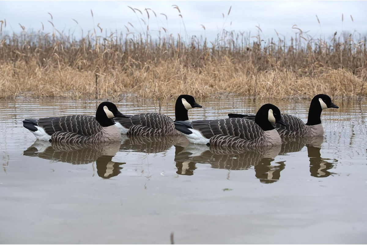 Avian X Topflight Lessers Flocked Floating Canada Goose Decoys, 4 Pack