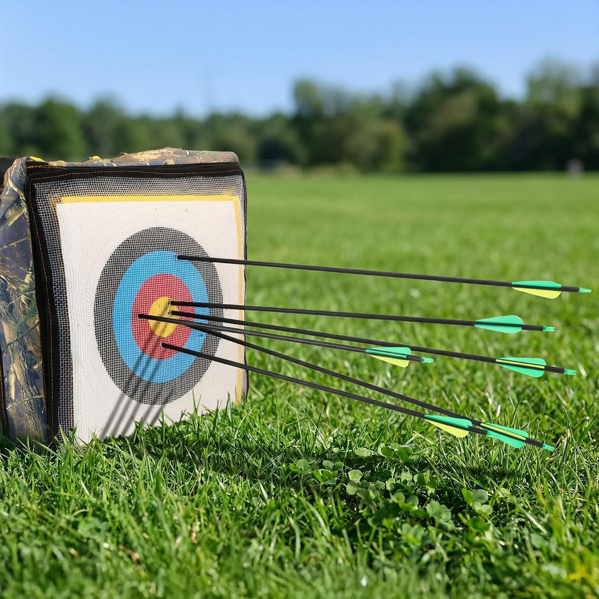 14 Pack 30" Archery Carbon Arrows,Practice Hunting Arrow with Removable Tips Shaft Spine 500 Suitable for Recurve Bows