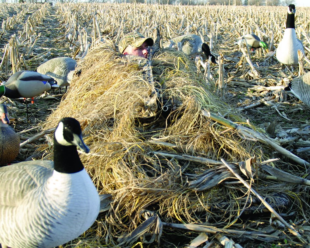 Avery KillerWeed Layout Blind Kit
