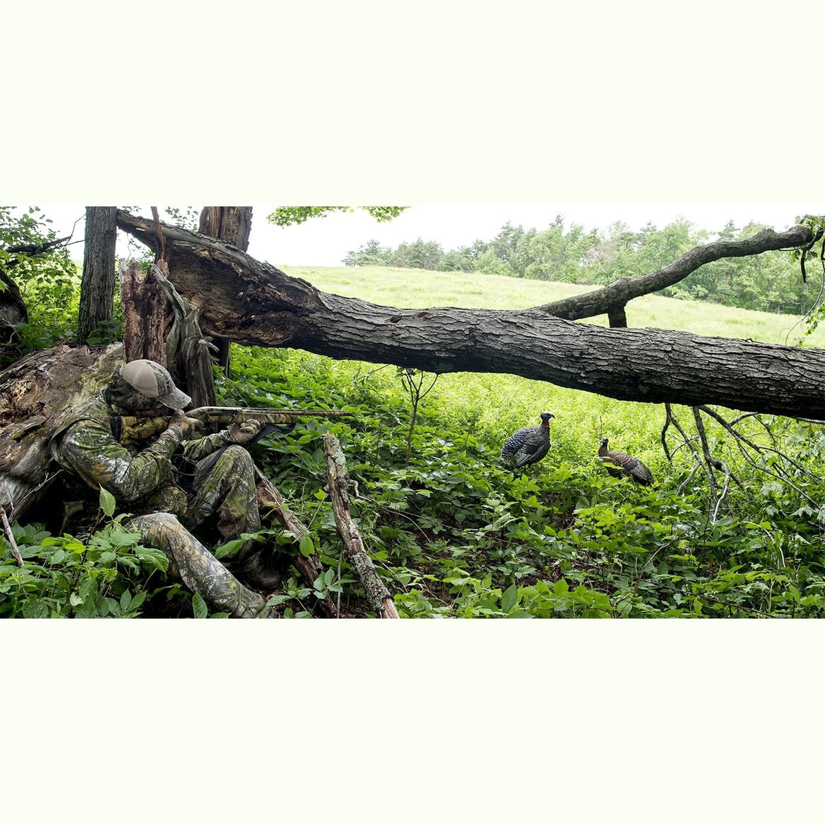 Avian-X HDR Strutter Turkey Decoy Bundle with LCD Lookout Hen Turkey Decoy