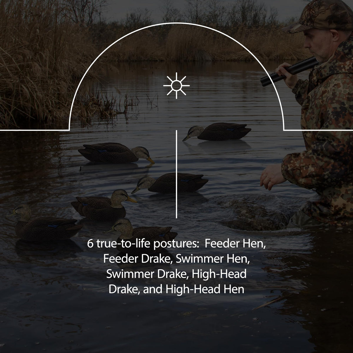 Avian-X Topflight Realistic Duck Decoy Sets with Flocked Bodies, 6 Unique Postures, Weight Forward Swim Keel, & Durable No Flake Finish