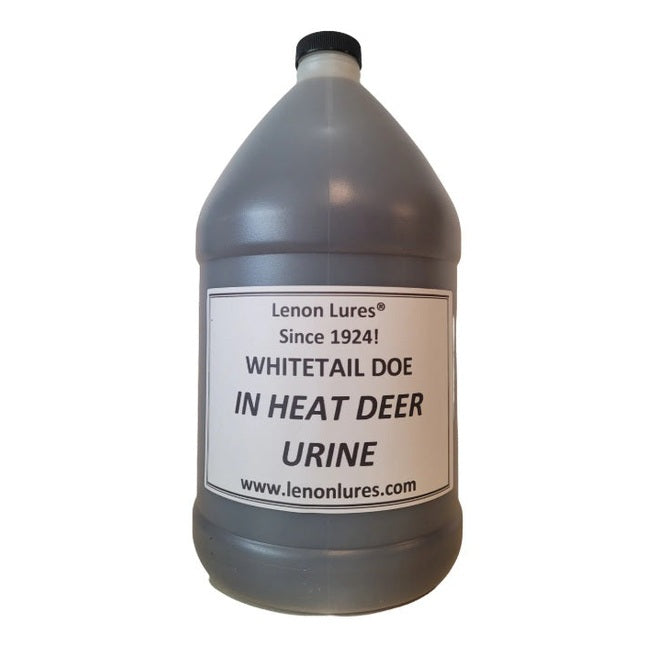 Lenon Lures Whitetail Doe in Heat Urine