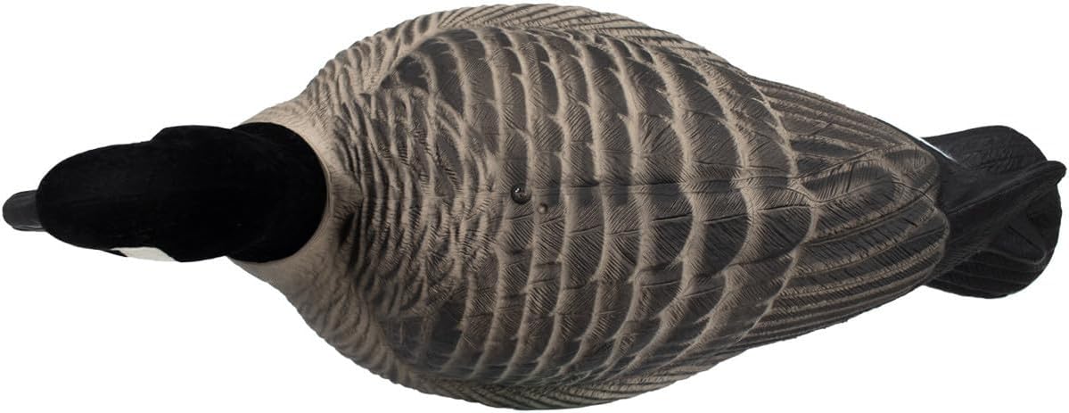 Final Approach HD Full Body Lesser Canada Goose Decoys, 12 Pack