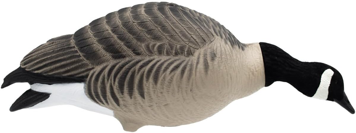 Final Approach HD Full Body Lesser Canada Goose Decoys, 12 Pack