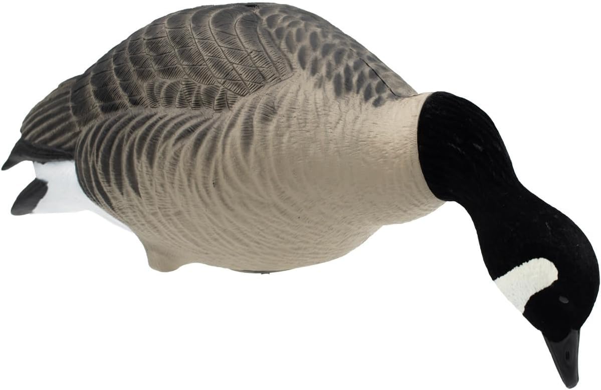 Final Approach HD Full Body Lesser Canada Goose Decoys, 12 Pack