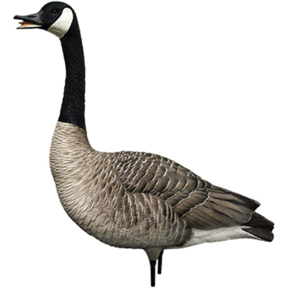 Avian X AXP Honkers Fusion Pack Full Body Canada Goose Decoys with Ultra Realistic Paint, Flocked Heads, 1 Sentry, 2 Walkers, and 3 Feeders