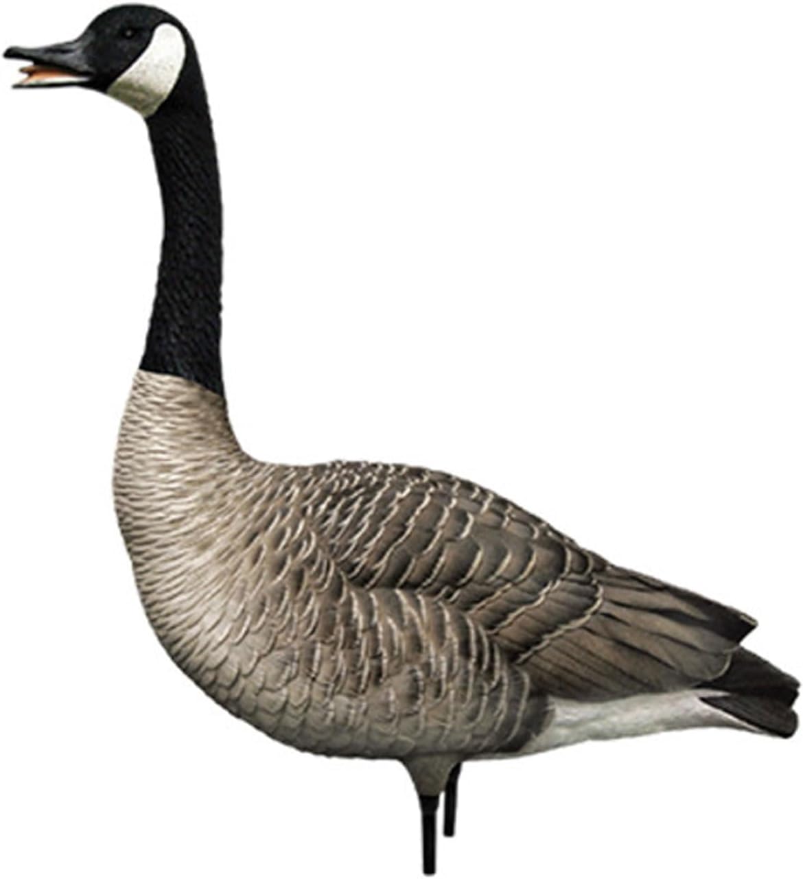 Avian X AXP Honkers Fusion Pack Full Body Canada Goose Decoys with Ultra Realistic Paint, Flocked Heads, 1 Sentry, 2 Walkers, and 3 Feeders