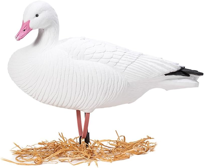 Heerweiyi Goose Decoys Pack of 6, Popular New Material EVA Collapsible Plastic Goose Hunting Decoys, Goose Decoys, Easy to Carry and Use, Cost Effective