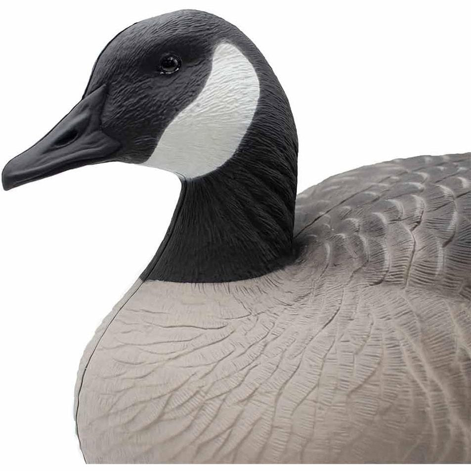 Final Approach Last Pass Canada Goose Floater Decoys, 6 Pack