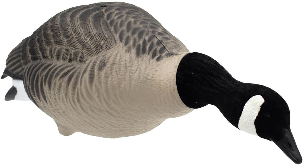 Final Approach HD Full Body Lesser Canada Goose Decoys, 12 Pack