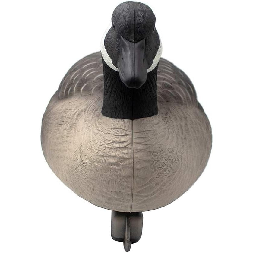 Final Approach Last Pass Canada Goose Floater Decoys, 6 Pack