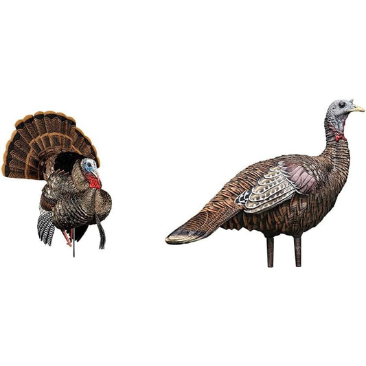 Avian-X HDR Strutter Turkey Decoy Bundle with LCD Lookout Hen Turkey Decoy