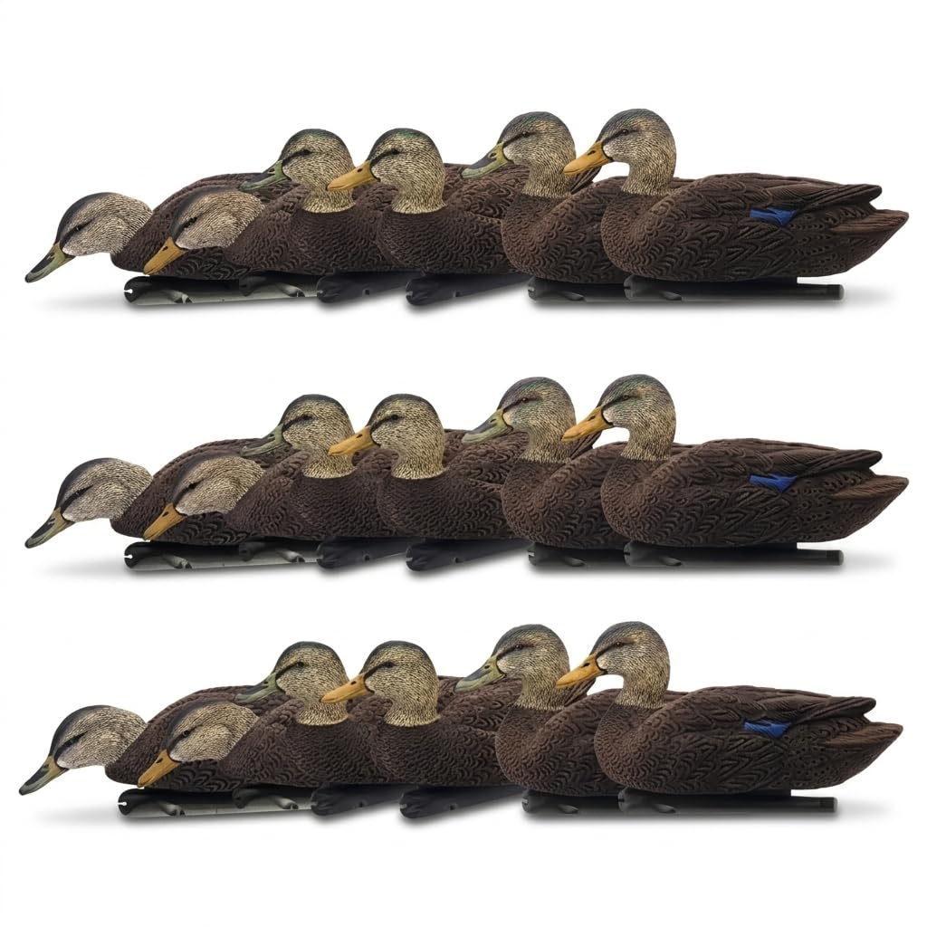 Avian-X Topflight Realistic Duck Decoy Sets with Flocked Bodies, 6 Unique Postures, Weight Forward Swim Keel, & Durable No Flake Finish