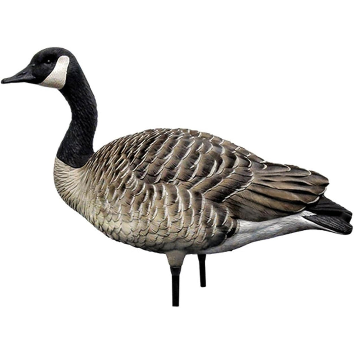 Avian X AXP Honkers Fusion Pack Full Body Canada Goose Decoys with Ultra Realistic Paint, Flocked Heads, 1 Sentry, 2 Walkers, and 3 Feeders