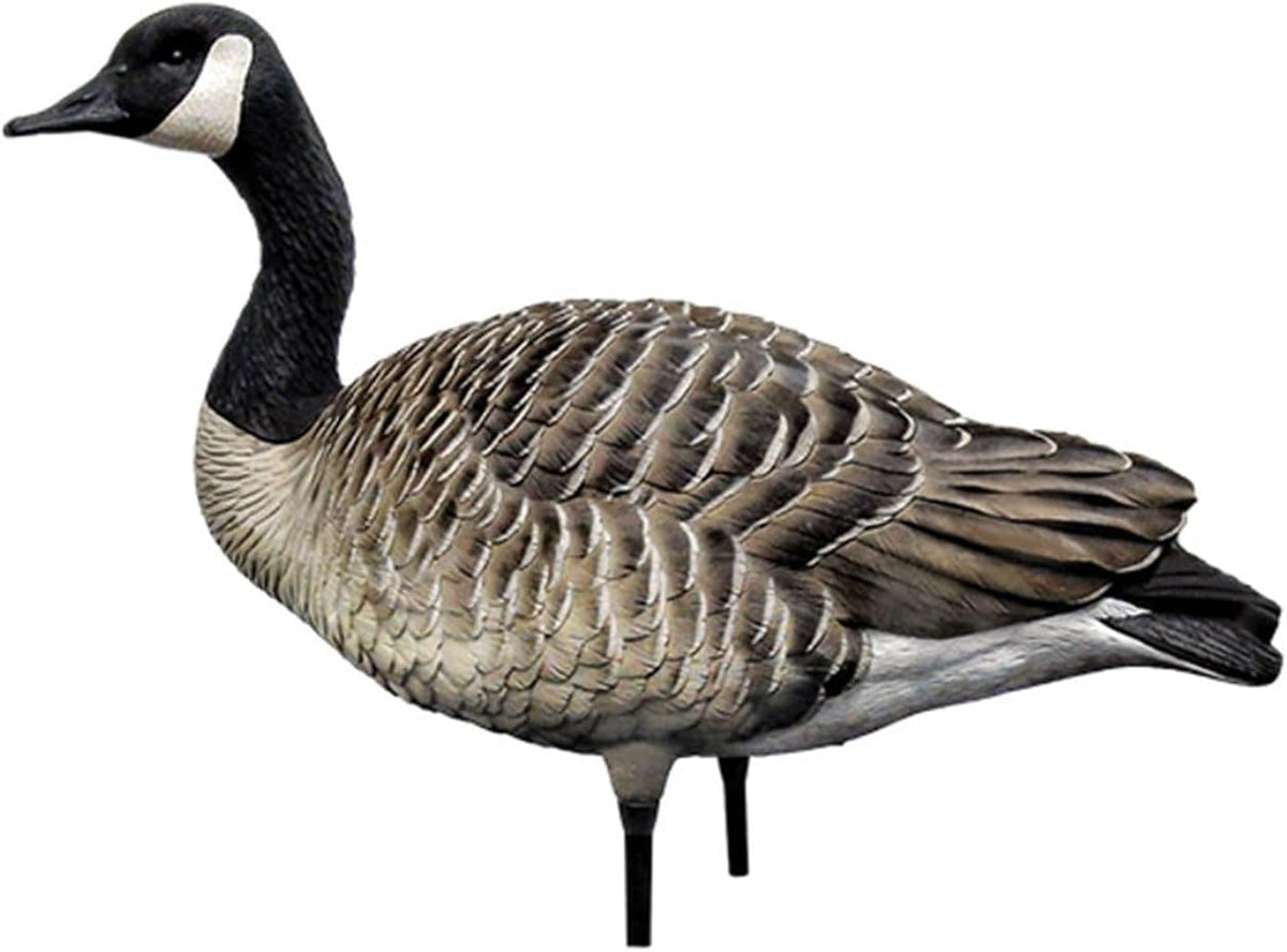 Avian X AXP Honkers Fusion Pack Full Body Canada Goose Decoys with Ultra Realistic Paint, Flocked Heads, 1 Sentry, 2 Walkers, and 3 Feeders