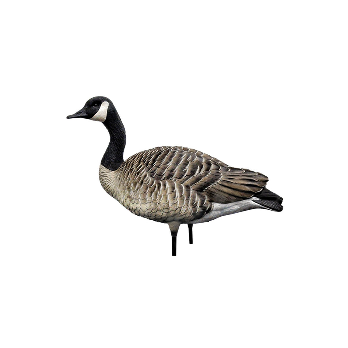 Avian X AXP Honkers Fusion Pack Full Body Canada Goose Decoys with Ultra Realistic Paint, Flocked Heads, 1 Sentry, 2 Walkers, and 3 Feeders
