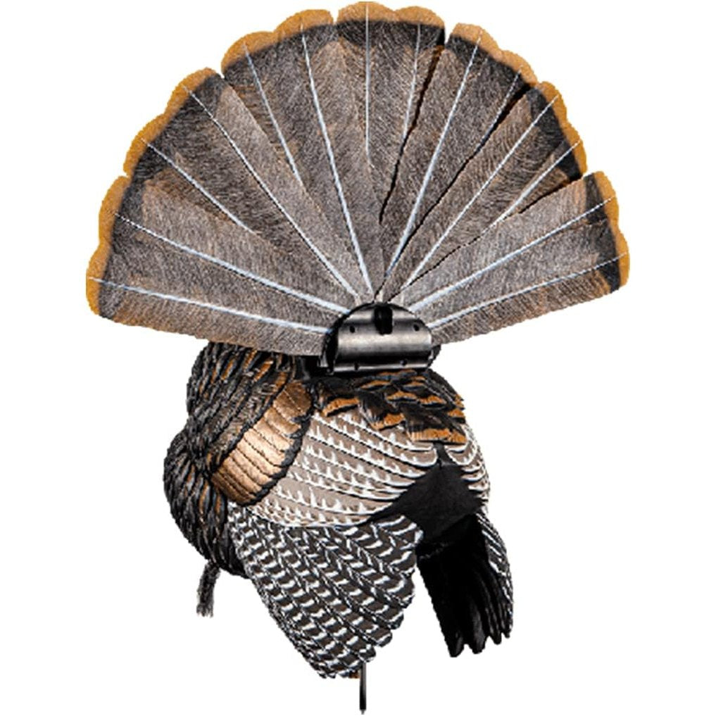 Avian-X HDR Strutter Turkey Decoy Bundle with LCD Lookout Hen Turkey Decoy