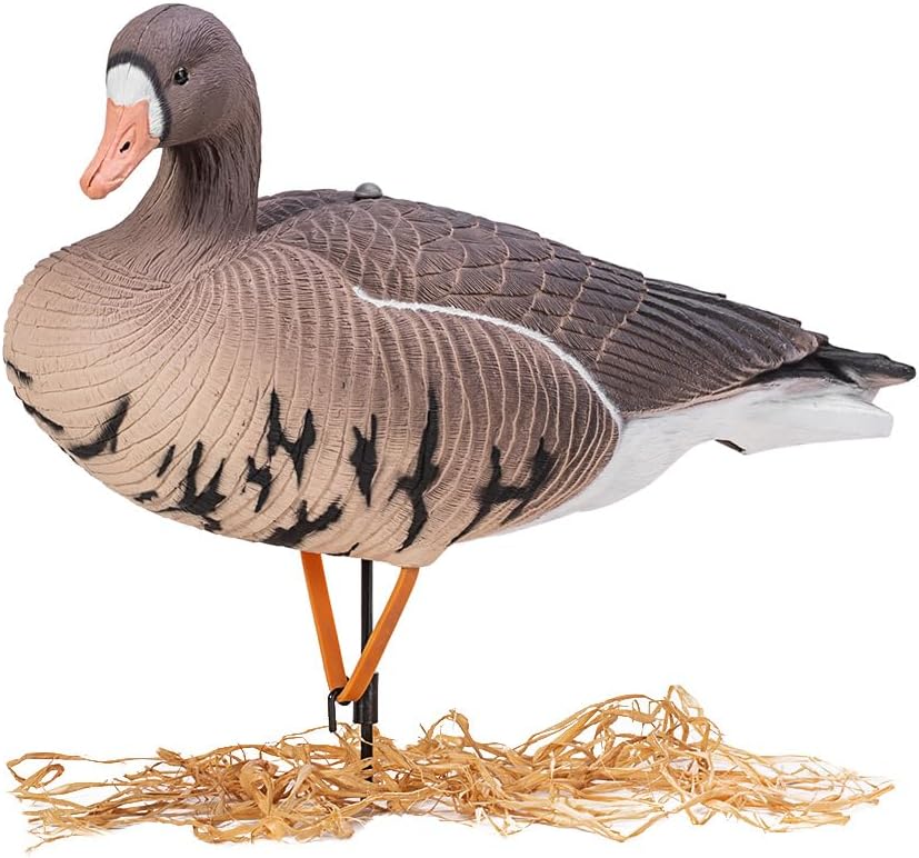 Heerweiyi Goose Decoys Pack of 6, Popular New Material EVA Collapsible Plastic Goose Hunting Decoys, Goose Decoys, Easy to Carry and Use, Cost Effective