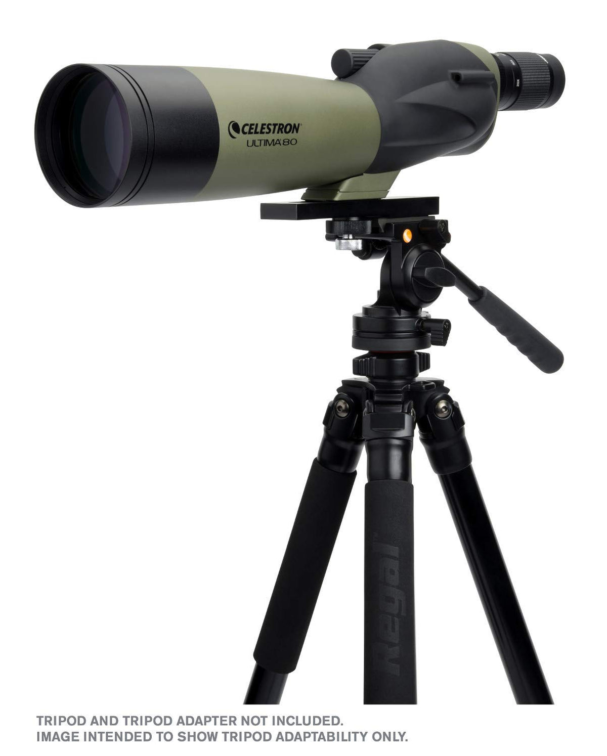 Celestron Ultima 20-60x80 Angled Spotting Scope for Wildlife