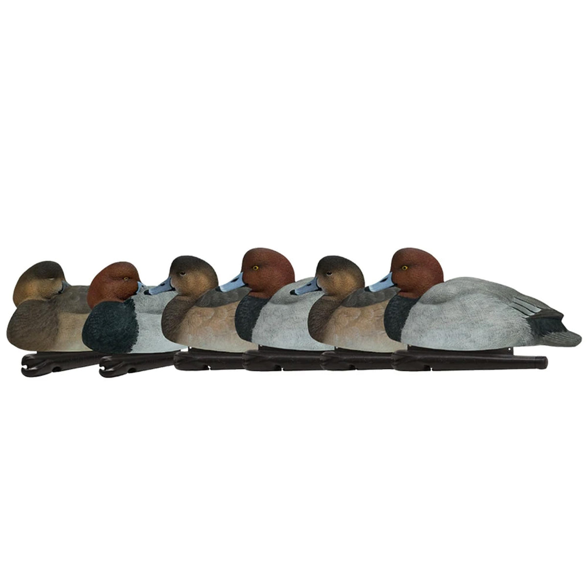 Avian-X Topflight Blue-Winged Teal Duck, Realistic Floating Outdoor Duck Decoys