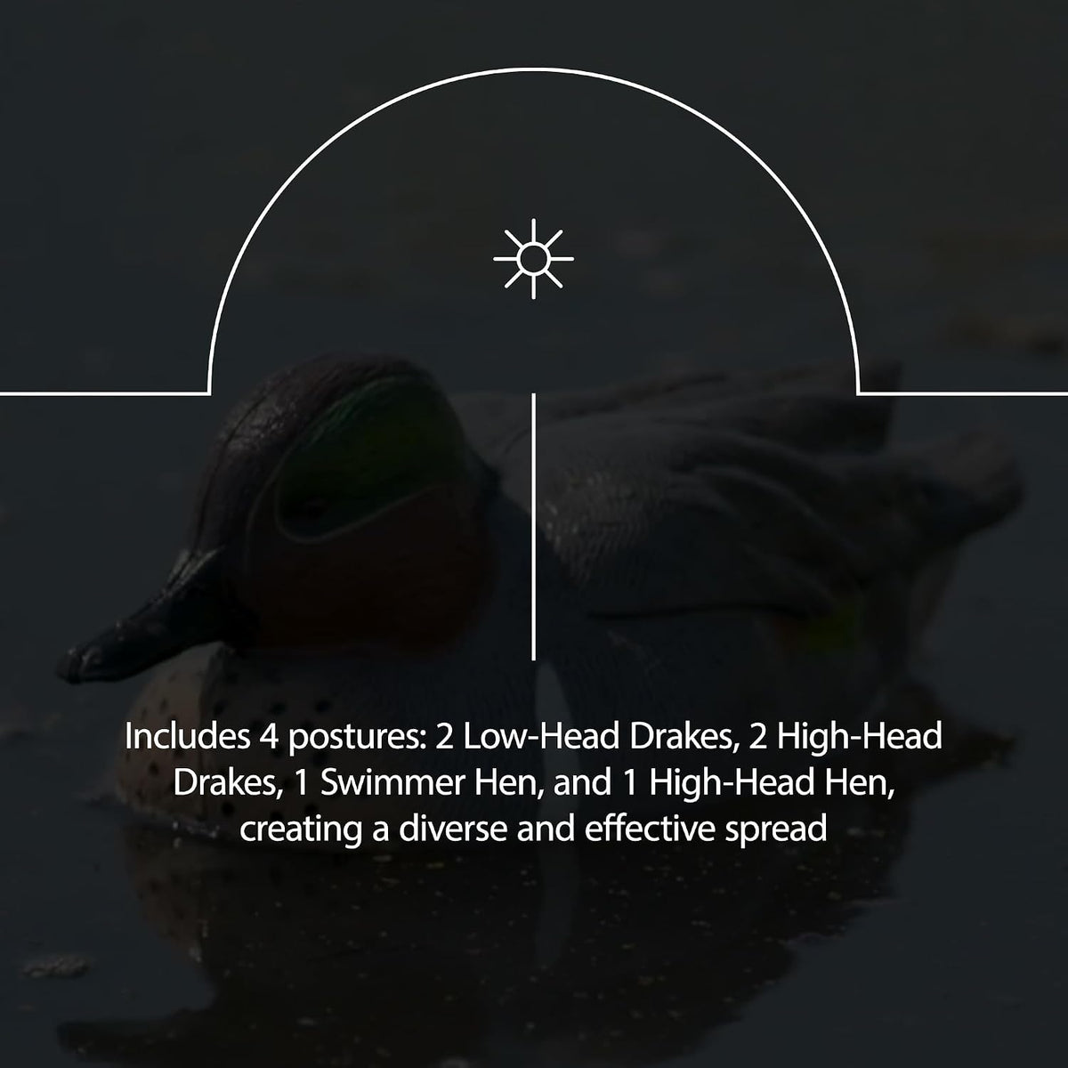 Avian-X Top Flight Open Water Mallard Duck Decoys, Ultra Realistic Floating Hunting Decoys with Weight Forward Swim Keel, Multicolor, 18 Pack