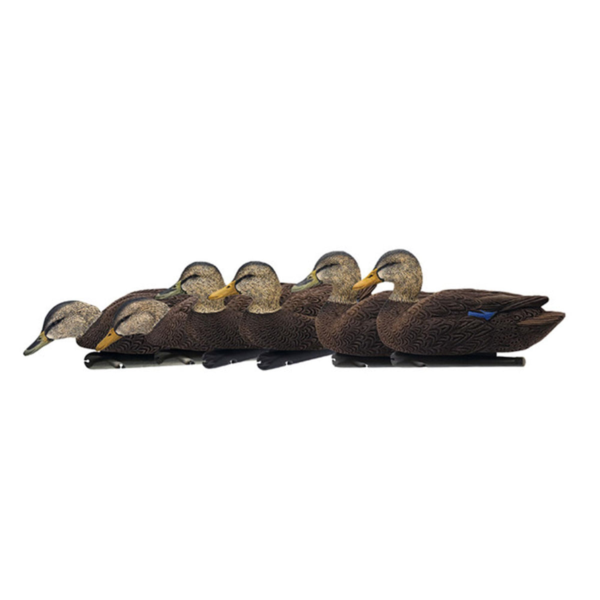 Avian-X Topflight Realistic Duck Decoy Sets with Flocked Bodies, 6 Unique Postures, Weight Forward Swim Keel, & Durable No Flake Finish