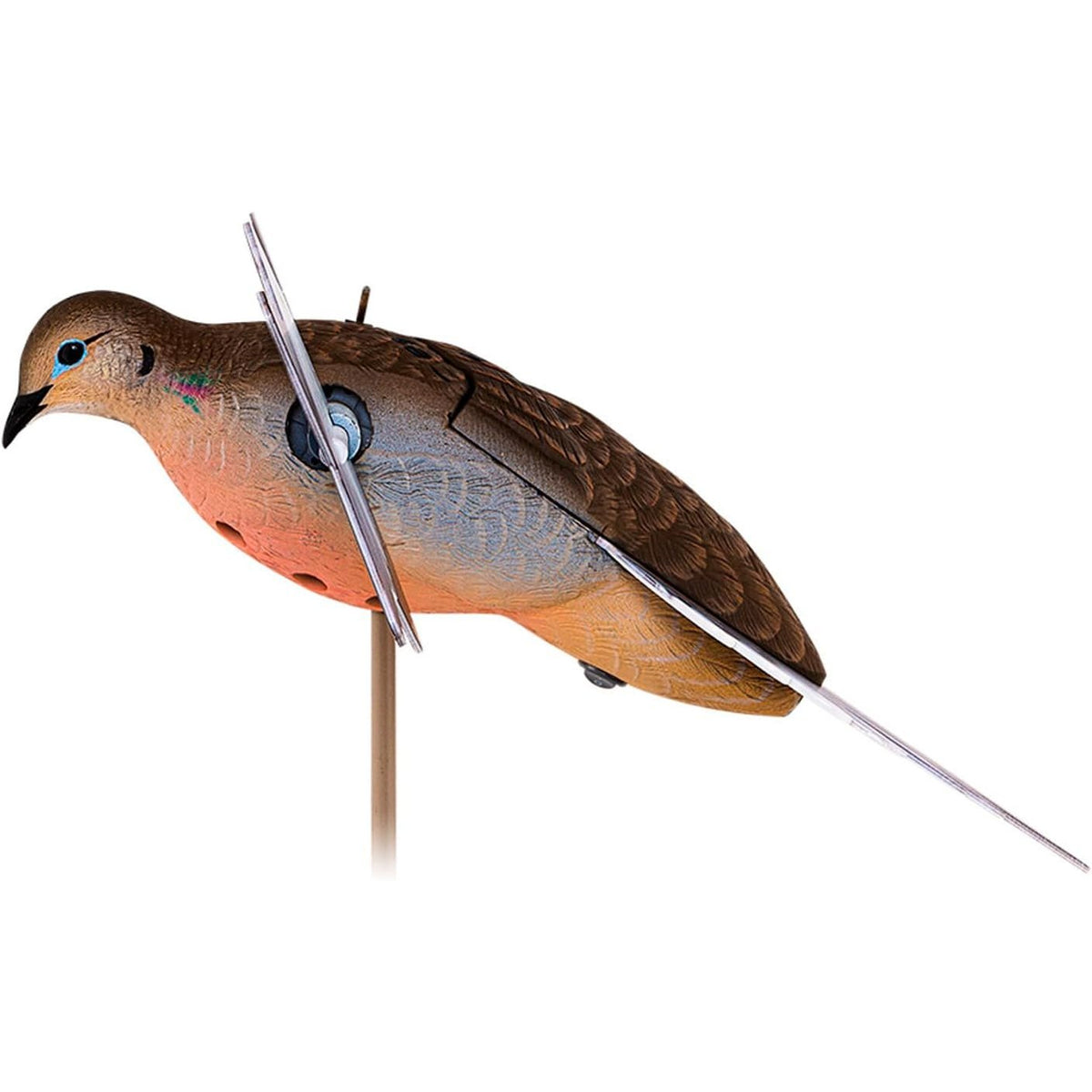 Avian-X PowerFlight Spinning Wing Dove Life-Size Motion Decoy - Durable Weather-Resistant Realistic Lifelike Hunting Decoy with Mounting Stake & Carry Bag Included