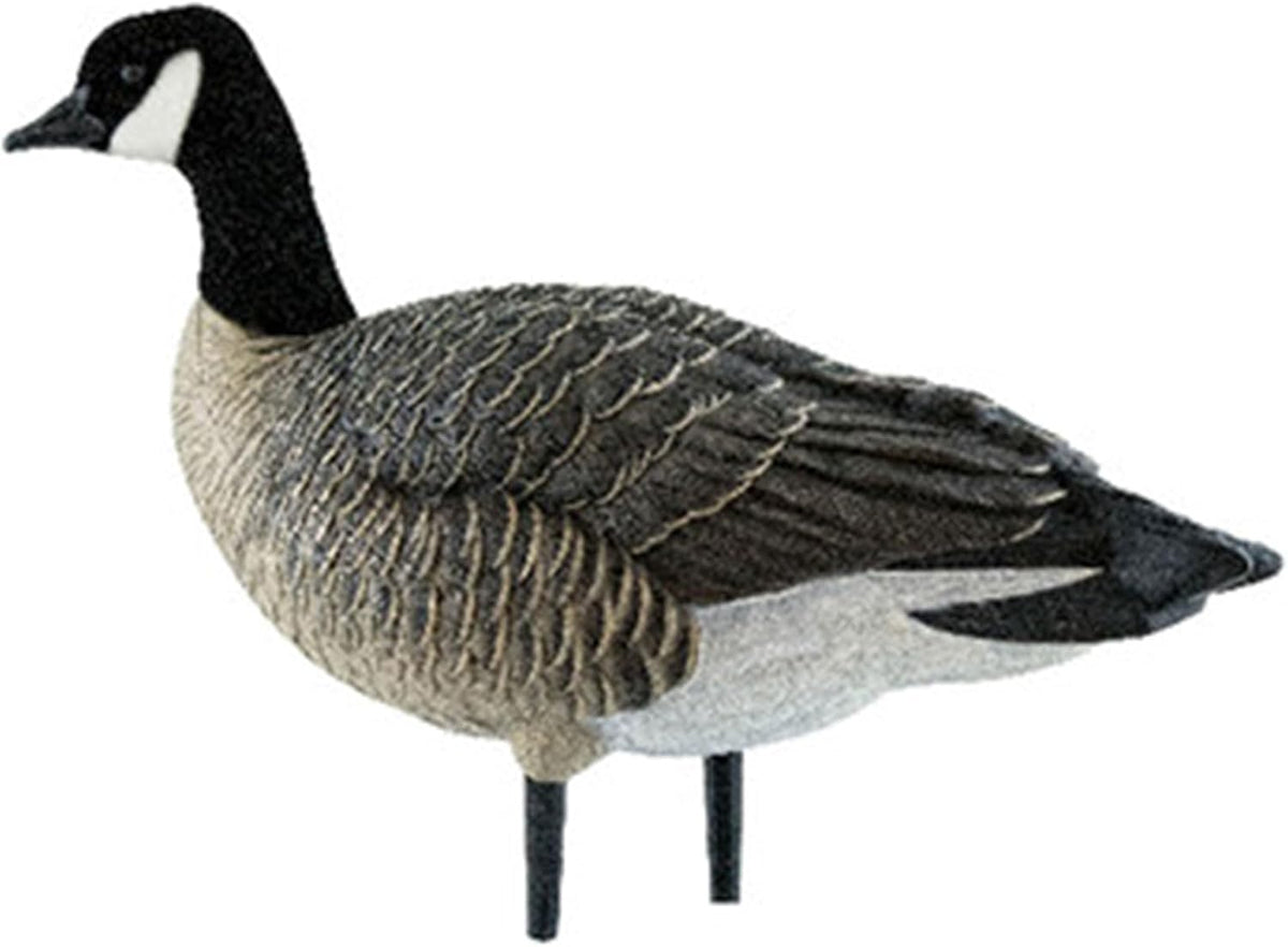 Avian X AXP Lessers Full Body Canada Goose Decoys, Flocked Heads, 12-Pack