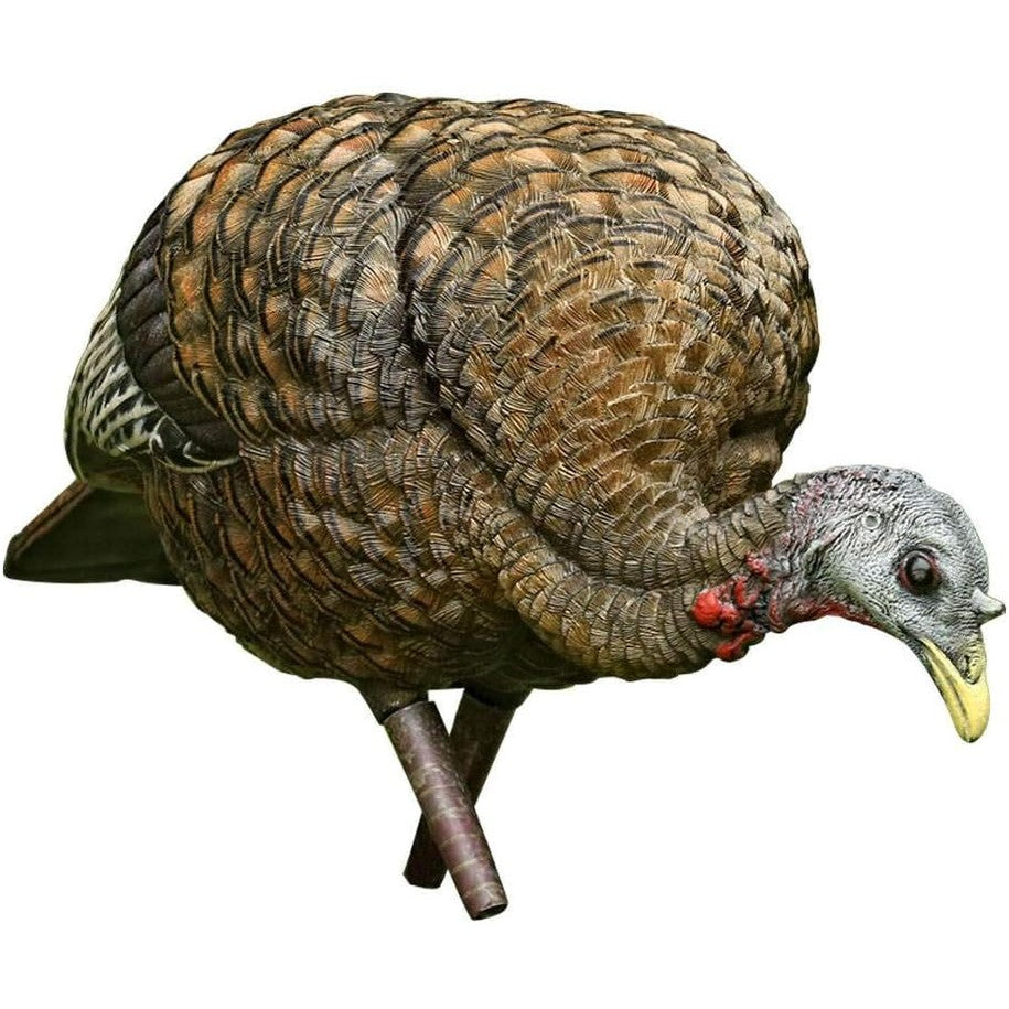 AVIAN-X LCD Feeder Hen AVX8007 & Breeder Hen AVX8008 Turkey Decoys | Realistic Lifelike Collapsible Standing Hunting Decoys with Carry Bag & Stake
