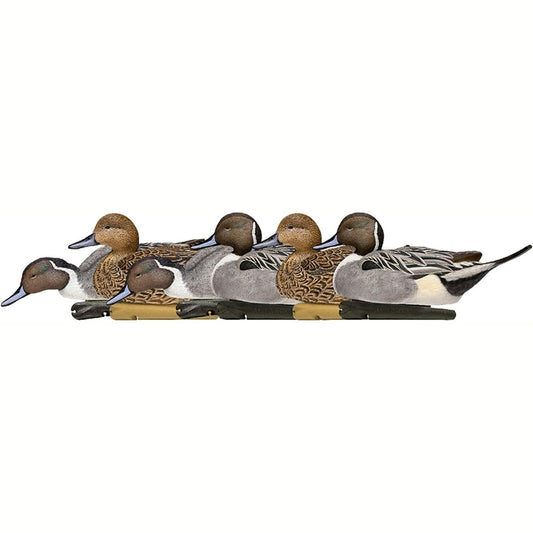 Avian X Topflight Pintail Decoys, Rugged Realistic Floating Duck Decoys for Hunting, Weight-Forward Swim Keel, Set of 6, Multicolor