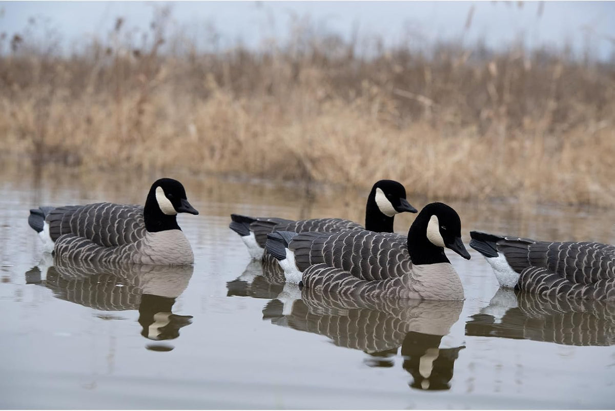 Avian X Topflight Lessers Flocked Floating Canada Goose Decoys, 4 Pack