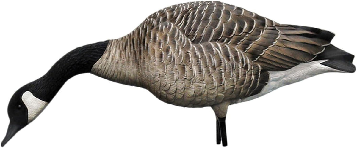 Avian X AXP Honkers Fusion Pack Full Body Canada Goose Decoys with Ultra Realistic Paint, Flocked Heads, 1 Sentry, 2 Walkers, and 3 Feeders