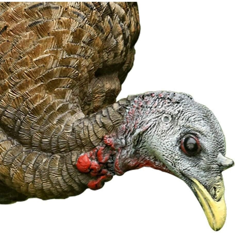 AVIAN-X LCD Feeder Hen Turkey Decoy | Durable Realistic Lifelike Collapsible Standing Hunting Decoy with Carry Bag & Stake, AVX8007