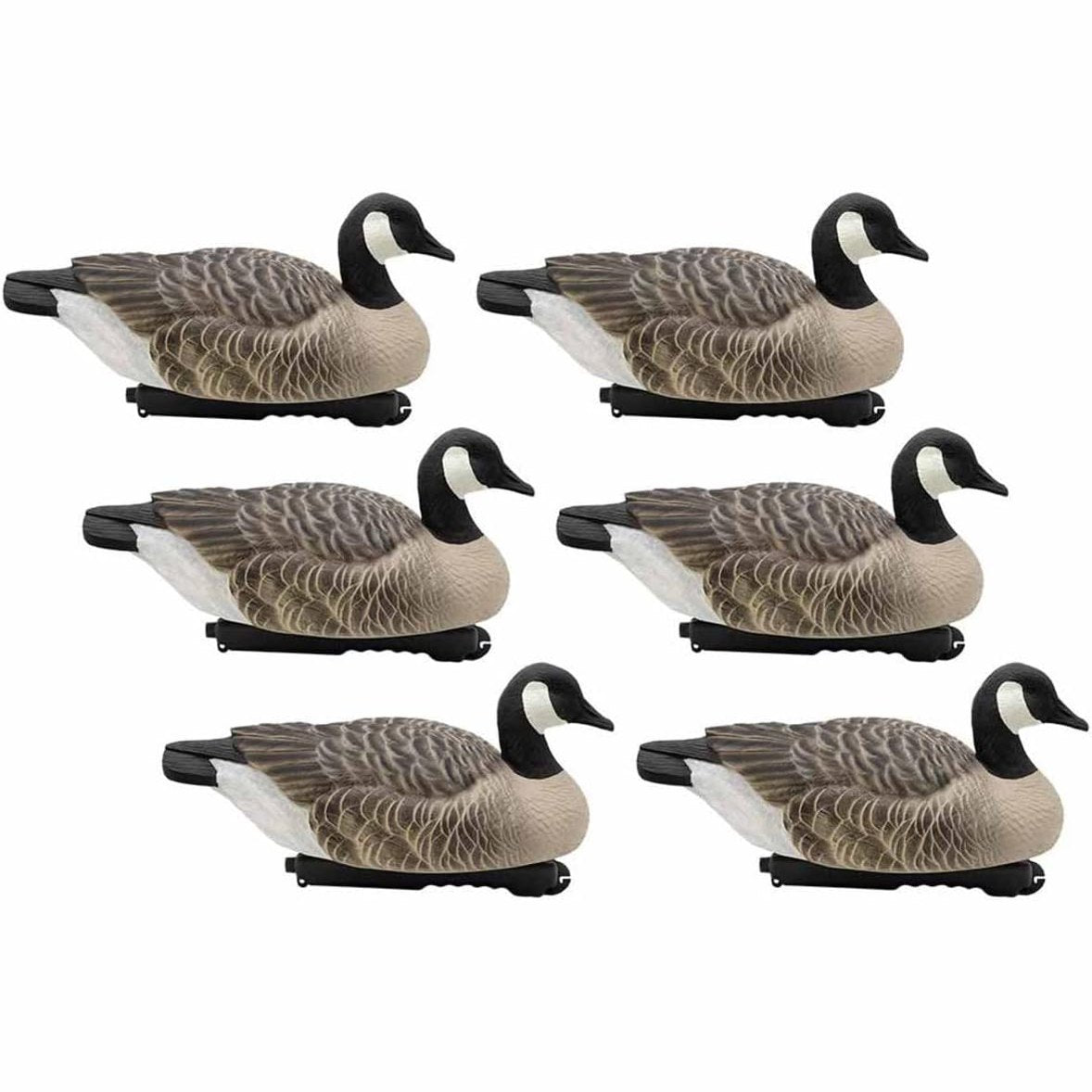 Final Approach Last Pass Canada Goose Floater Decoys, 6 Pack