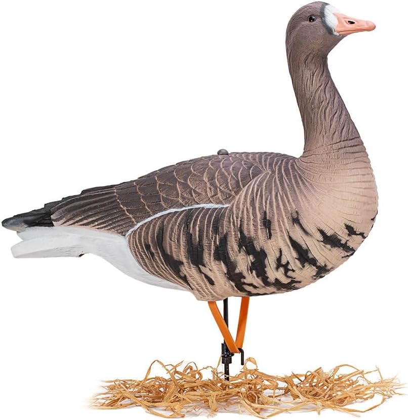 Heerweiyi Goose Decoys Pack of 6, Popular New Material EVA Collapsible Plastic Goose Hunting Decoys, Goose Decoys, Easy to Carry and Use, Cost Effective