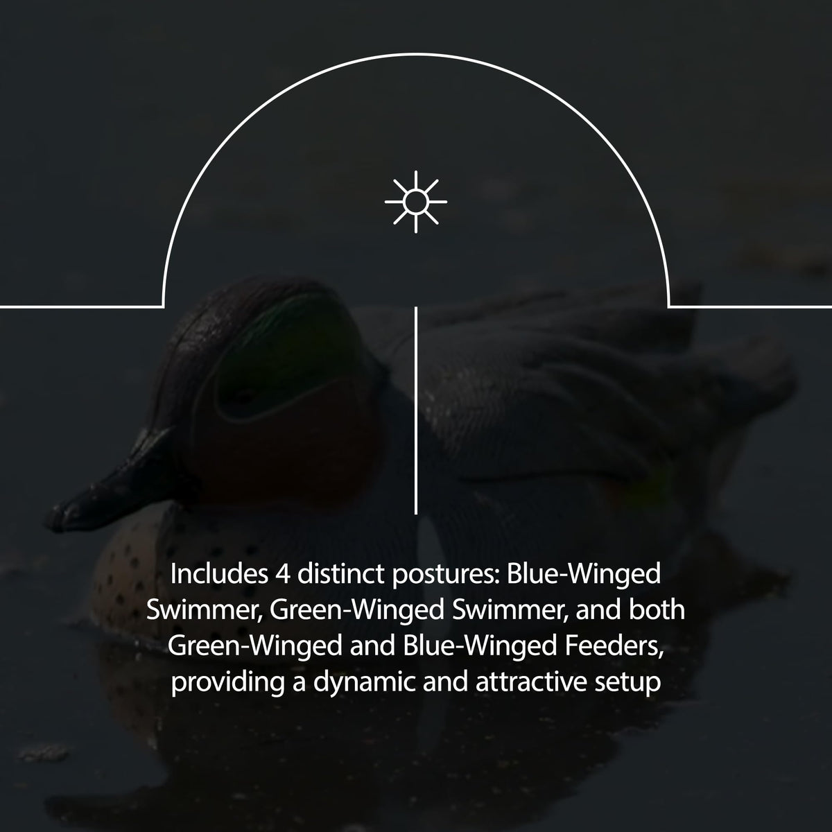 Avian X Topflight Early Season Teal with True to Life Postures and Rugged Design for Hunting Purposes, Outdoor Sports, and Recreation, 6 Pack