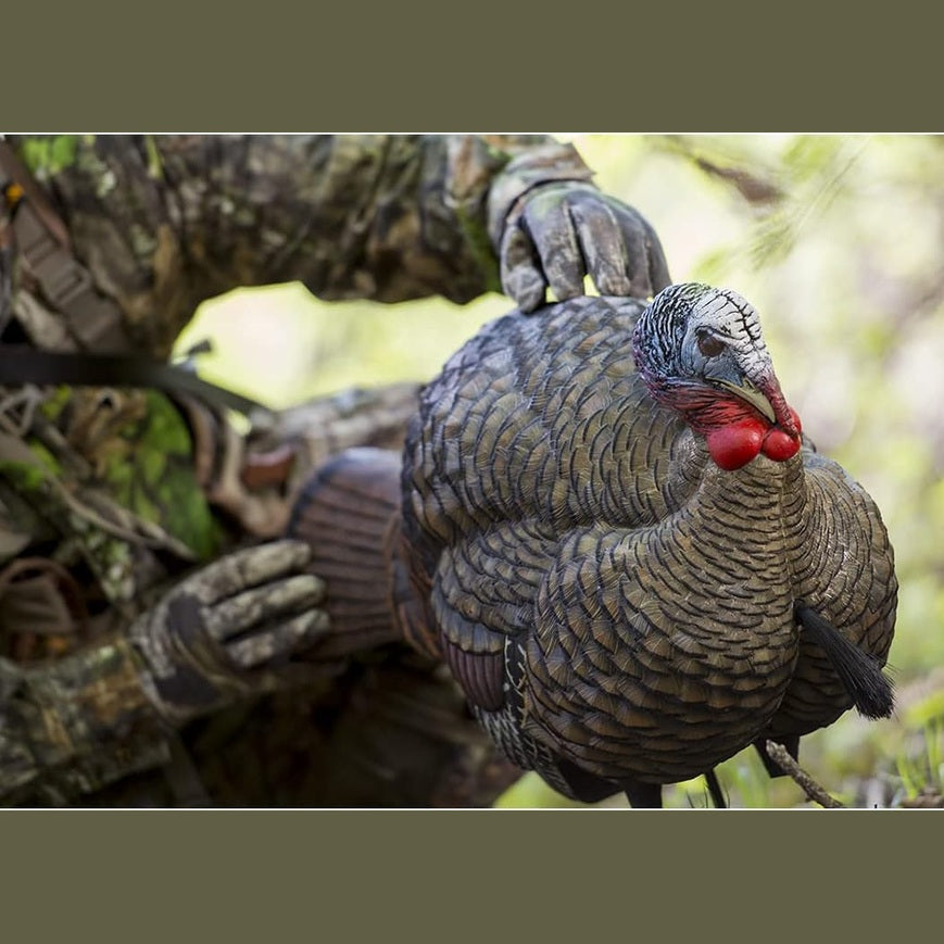 Avian X LCD 1/2 Strut Jake Turkey Decoy