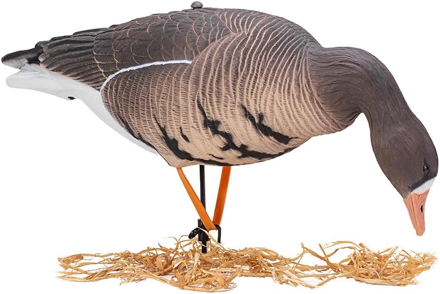 Heerweiyi Goose Decoys Pack of 6, Popular New Material EVA Collapsible Plastic Goose Hunting Decoys, Goose Decoys, Easy to Carry and Use, Cost Effective