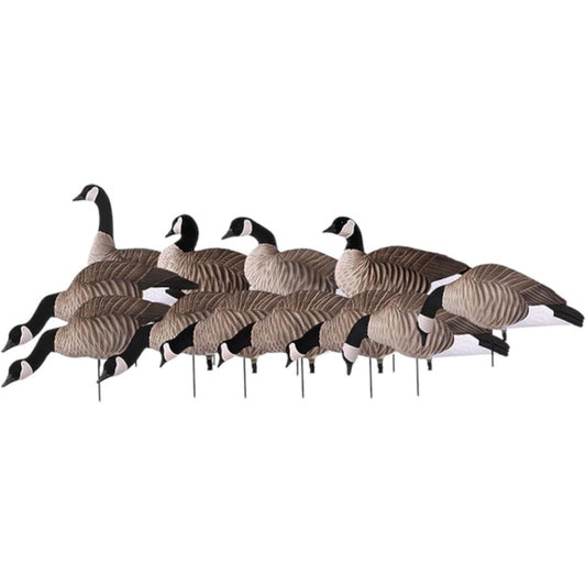 Avery 12 Pack of Lesser Canada Harvester Decoys (72323)