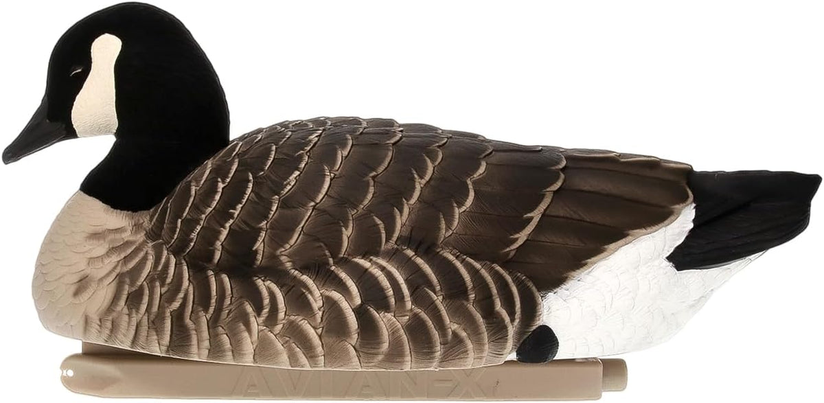 Avian X Topflight Lessers Flocked Floating Canada Goose Decoys, 4 Pack