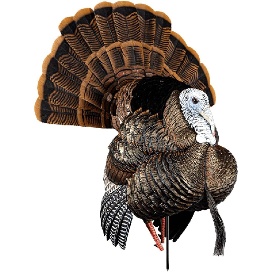 Avian-X HDR Strutter Turkey Decoy Bundle with LCD Lookout Hen Turkey Decoy