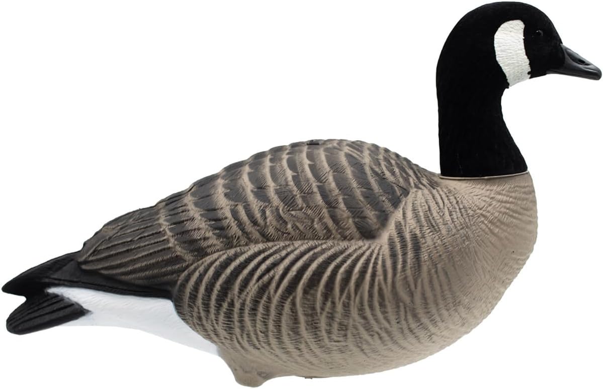 Final Approach HD Full Body Lesser Canada Goose Decoys, 12 Pack