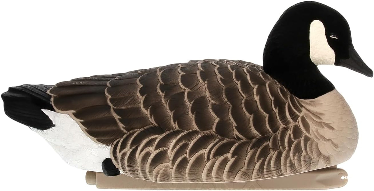 Avian X Topflight Lessers Flocked Floating Canada Goose Decoys, 4 Pack