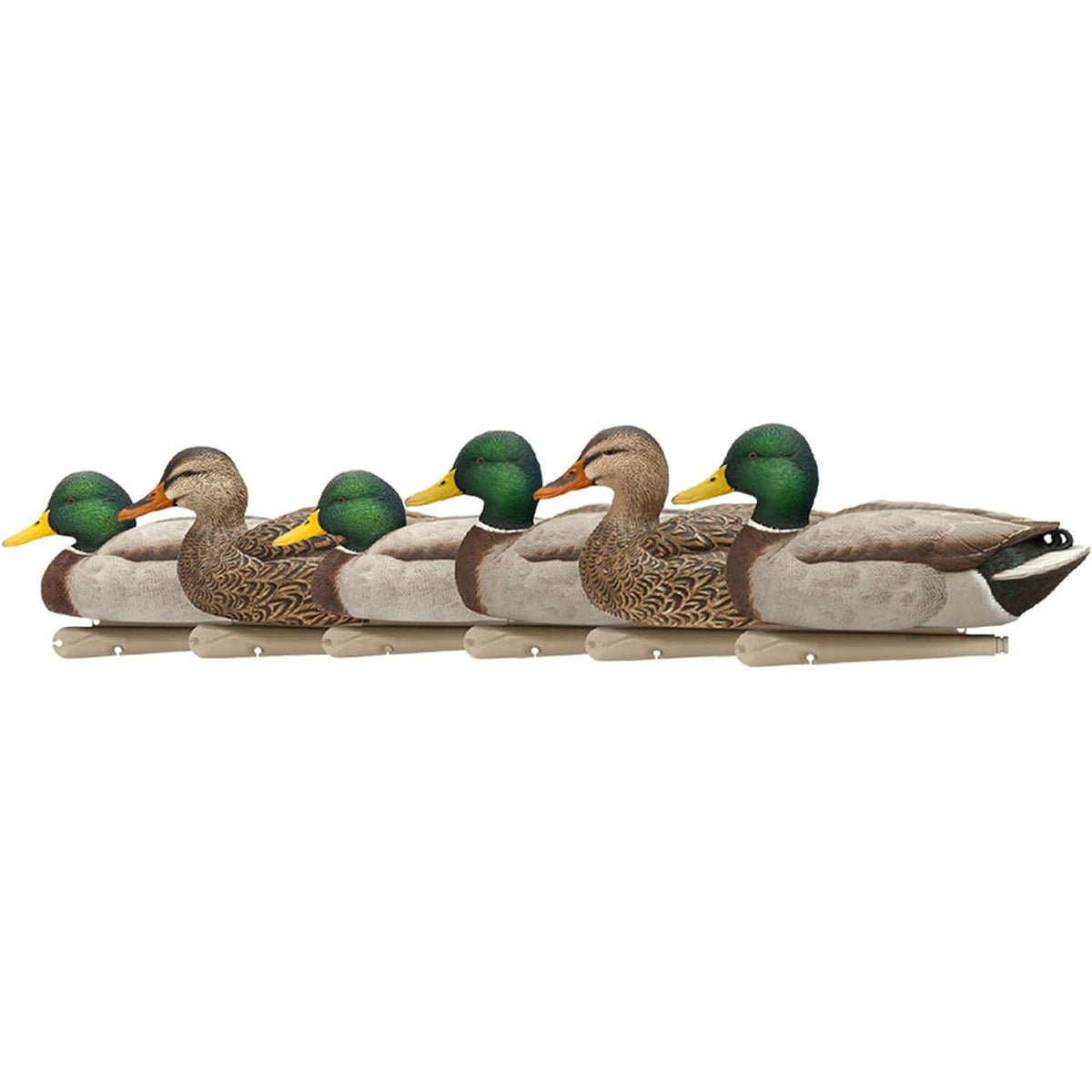 Avian-X Top Flight Open Water Mallard Duck Decoys, Ultra Realistic Floating Hunting Decoys with Weight Forward Swim Keel, Multicolor, 18 Pack
