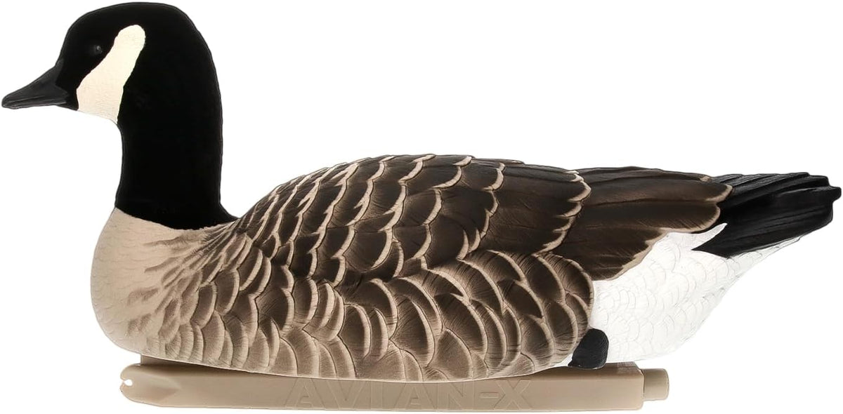 Avian X Topflight Lessers Flocked Floating Canada Goose Decoys, 4 Pack