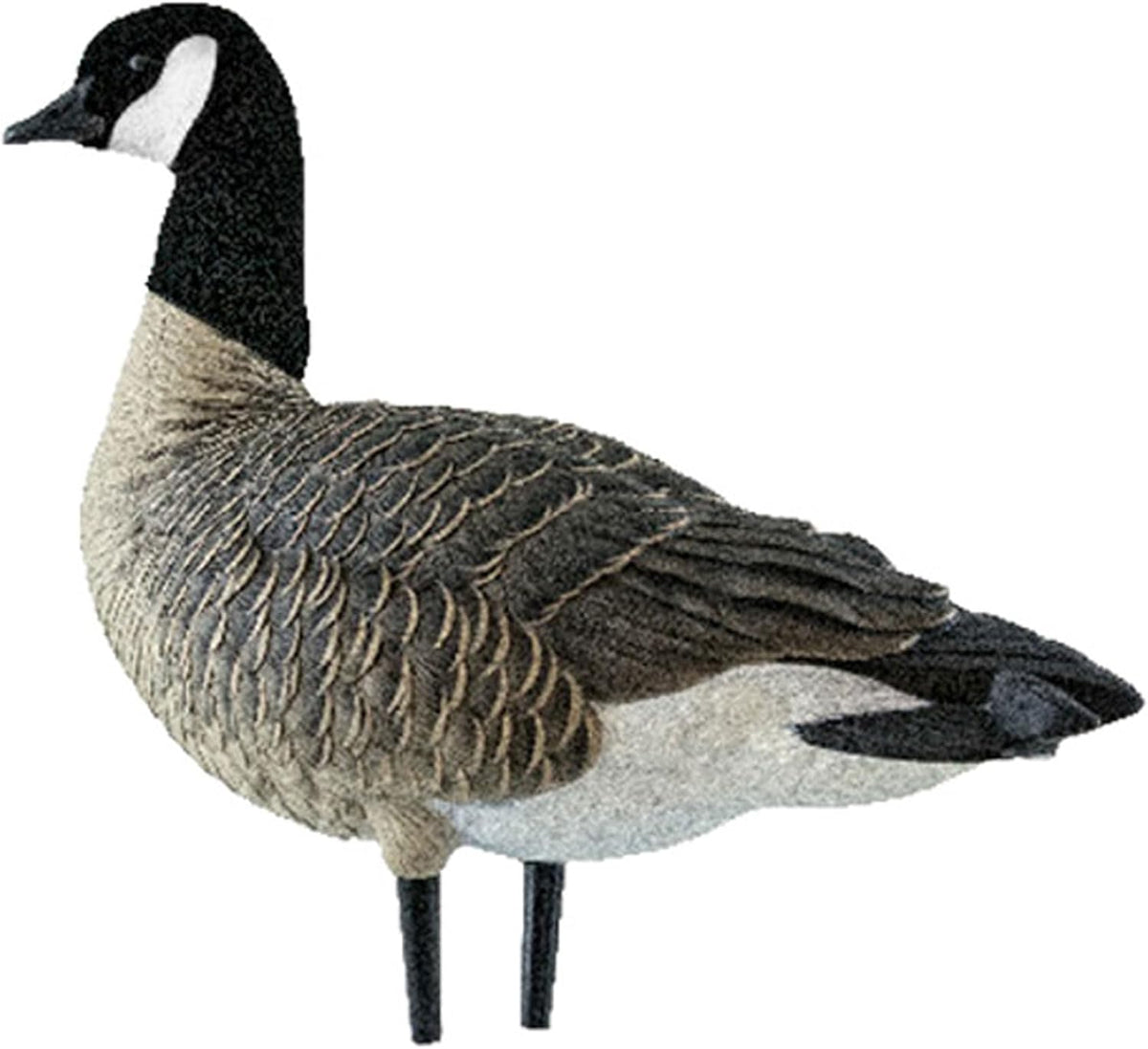 Avian X AXP Lessers Full Body Canada Goose Decoys, Flocked Heads, 12-Pack